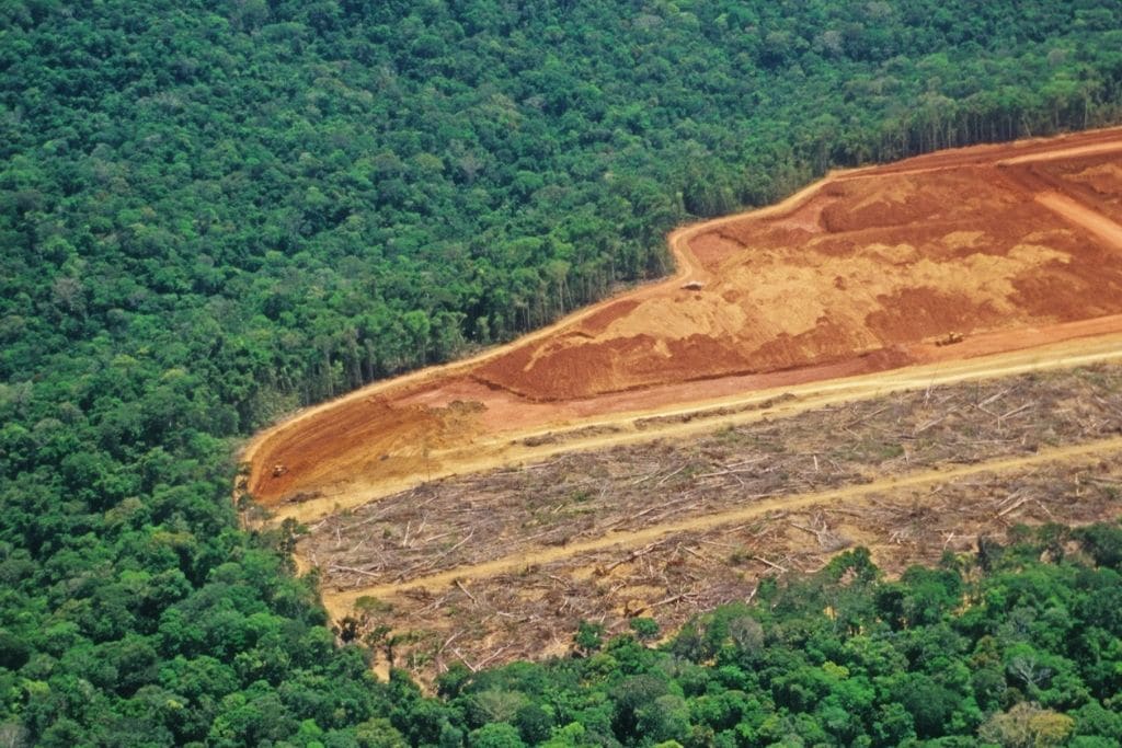 Deforestation in the Amazon Rainforest