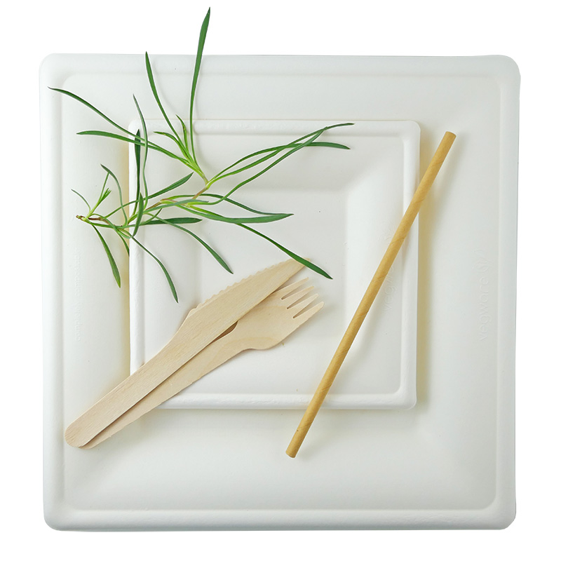 Image: Compostable catering kit with baggasse plates, wooden cutlery and paper straw