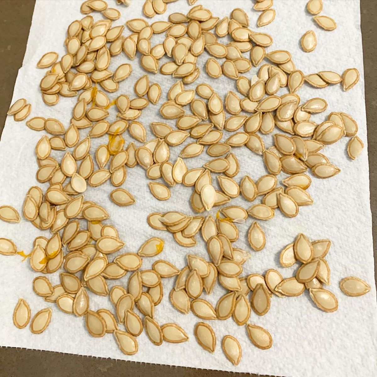How to Roast Pumpkin Seeds for a Crunchy, Waste-Free Snack