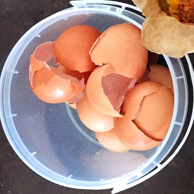 Eggshells are full of calcium carbonate. They are not landfill.