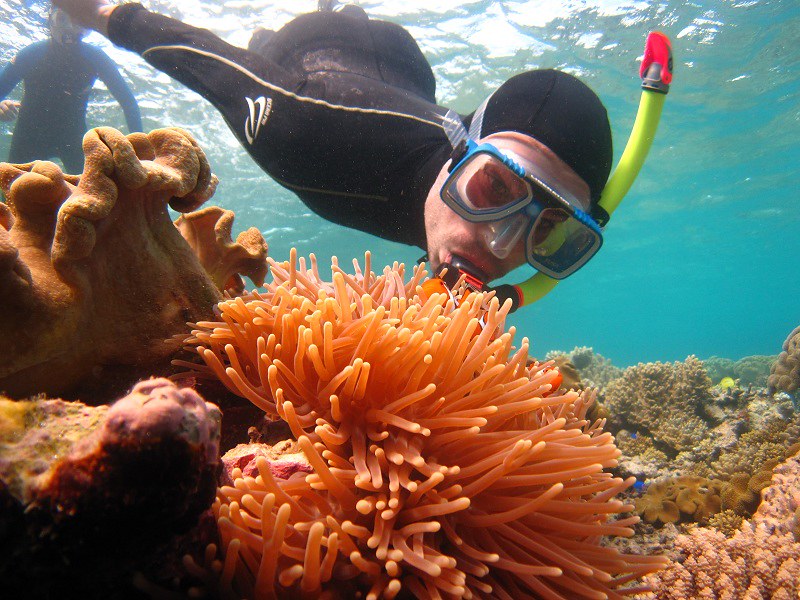 man snorkelling in a reef 