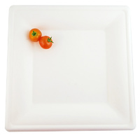 Bagasse Plate Large 10-pack