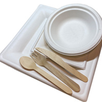 Compostable Catering Kit – 10 Person Party Pack