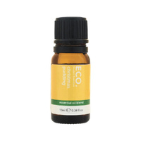 Christmas Pudding Essential Oil Blend