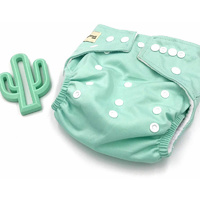 Modern Cloth Nappy - Mint