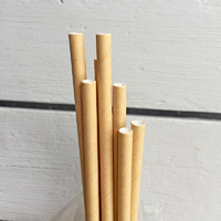 Kraft Paper Straws 20-pack