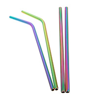 Stainless Steel Reusable Straw - Iridescent