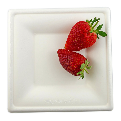Home Compostable Bagasse Plate - Small 10 Pack
