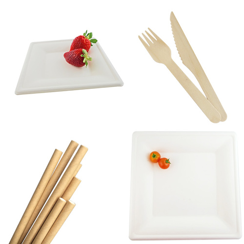 Compostable Catering Kit