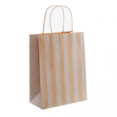Paper Gift Bag - Large White Stripe