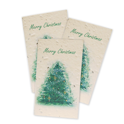 Christmas Seed Card 3 Pack - Salad Mix