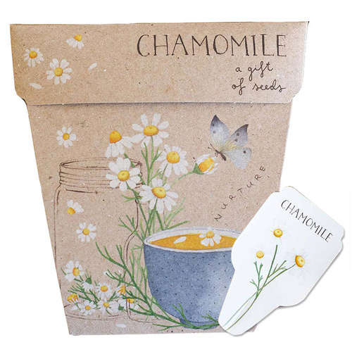 Gift of Seeds - Chamomile