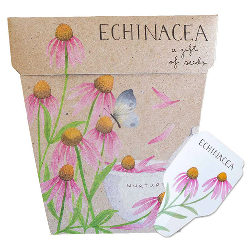 Gift of Seeds - Echinacea