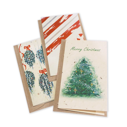 Living Seed Card 3 Pack - Christmas Mix