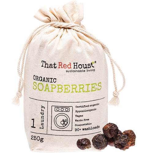 Organic Soapberries - 250g