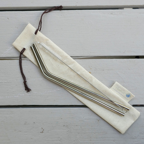 Stainless Steel Straw - 2-pack [Shape: Bent]